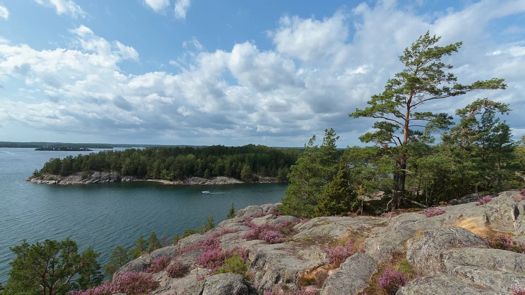 Utsikt över klippor, tallar och glittrande vatten på Grinda